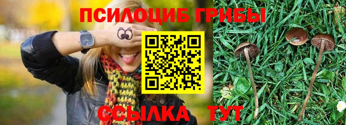хочу   Вход с VPN  Омск  Псилоцибиновые грибы Magic Shrooms 