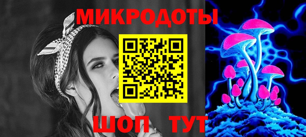Псилоцибиновые грибы Cubensis Омск